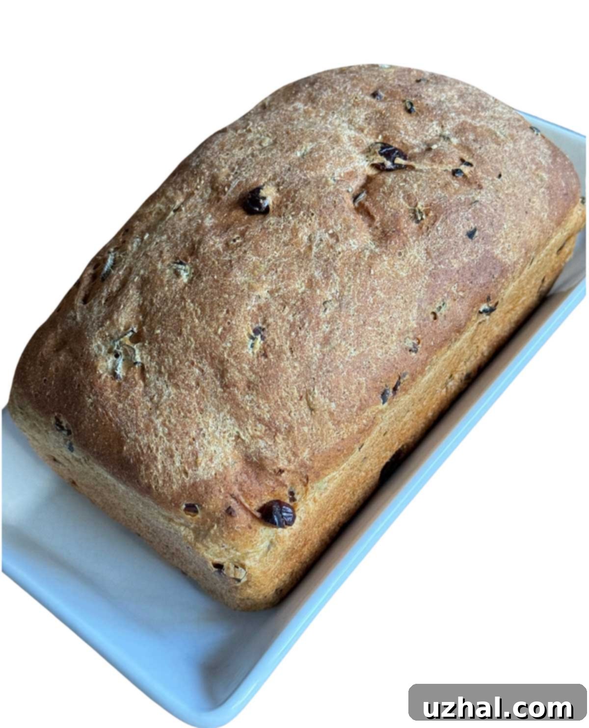 Rustic Wild Rice Cranberry Bake 2 Cranberry Wild Rice Bread that's fluffy and good for sandwiches.