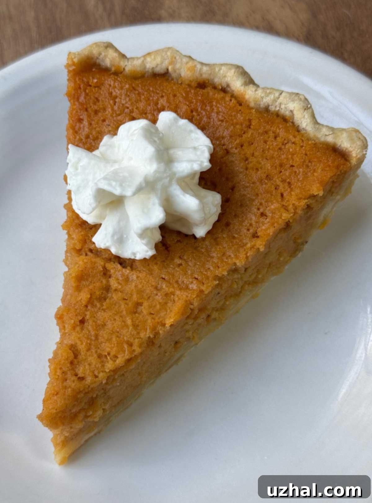 A delectable slice of Mama Dip's Sweet Potato Pie, showcasing its rich, spiced filling and golden crust.