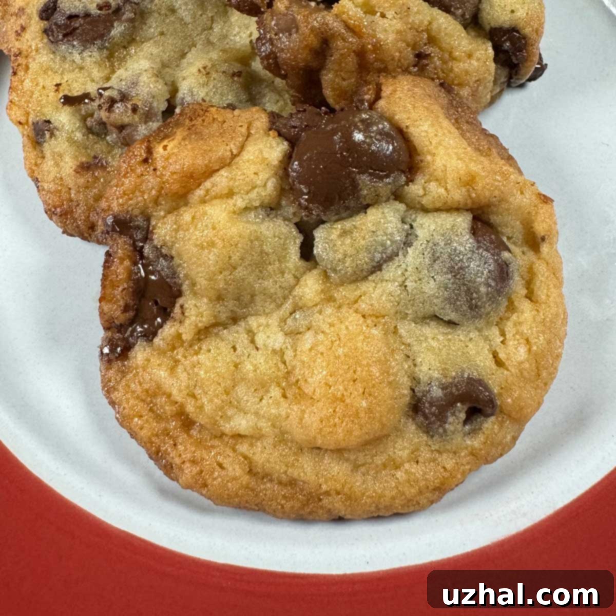 Chocolate Chip Cookies with malt powder