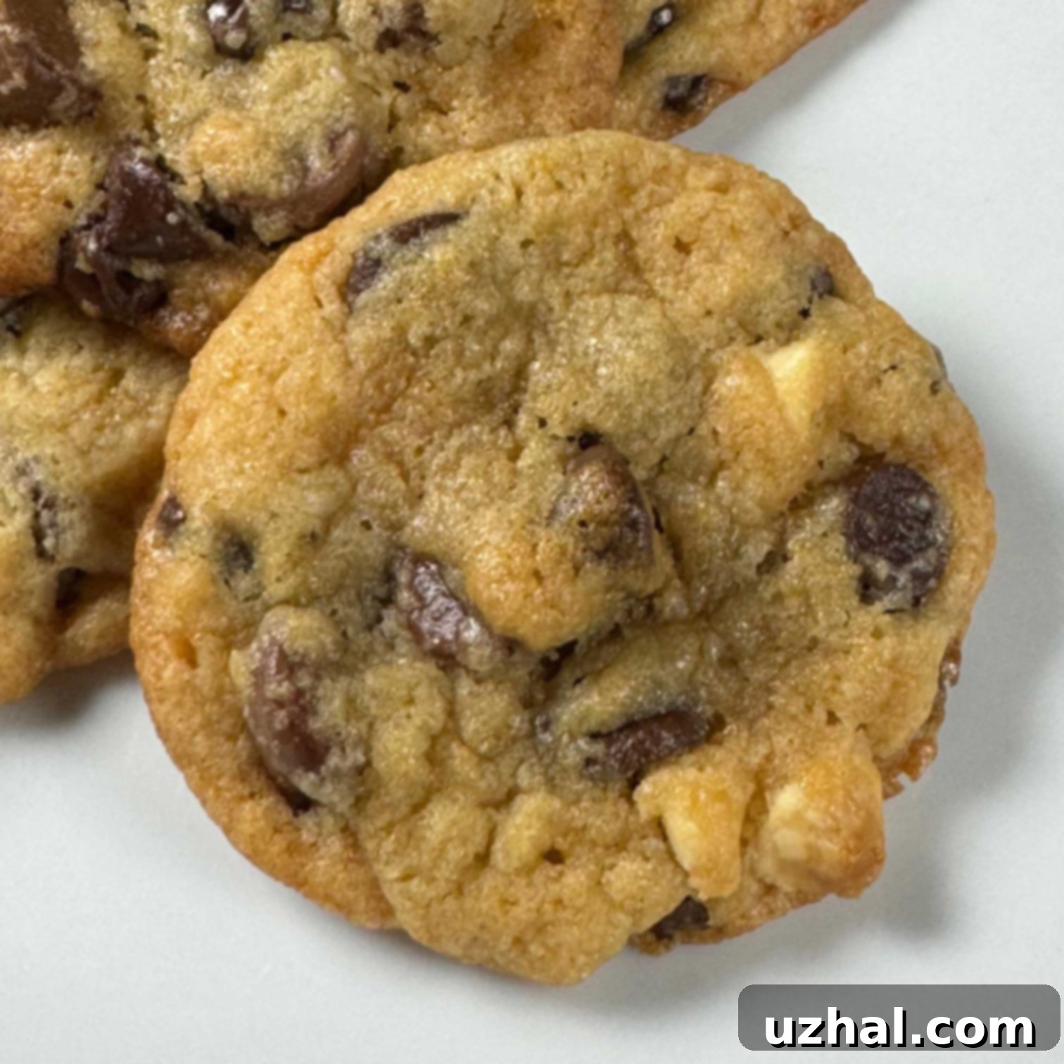 Double Malted Milk Chocolate Chip Cookies with Barley Malt Syrup