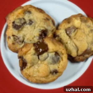 Malted Chocolate Chip Cookies