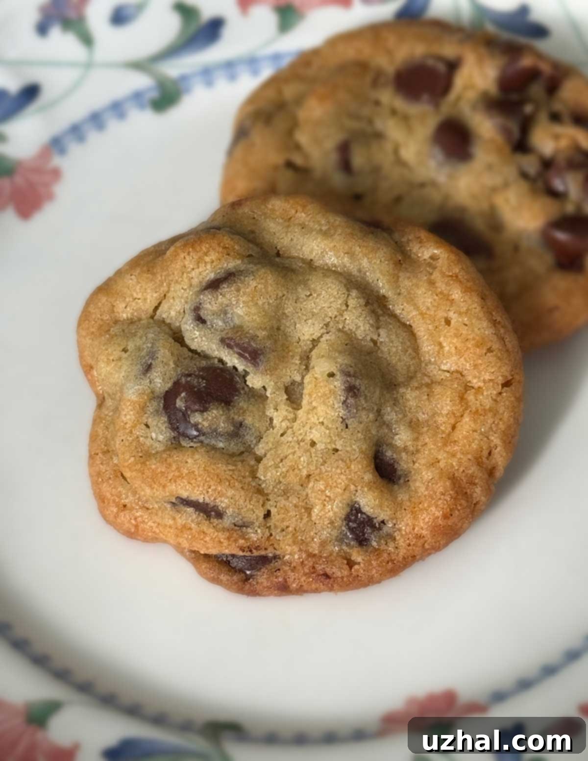 Pillsbury double chocolate chip cookies made with only brown sugar and two kinds of chips. A close-up view highlighting the soft texture and abundant chocolate chips.
