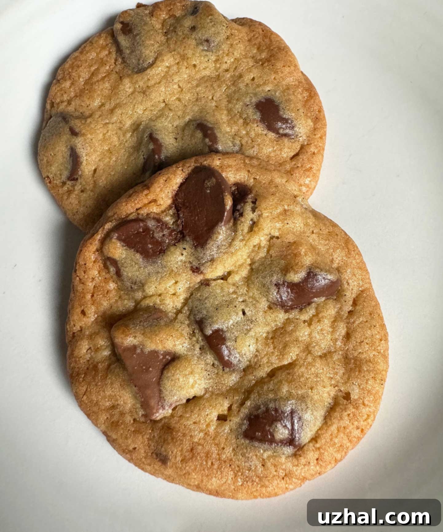 Soft and chewy chocolate chip cookies cooling on a wire rack, showing perfect texture.