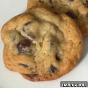 Pillsbury Back of the Bag Chocolate Chip Cookies