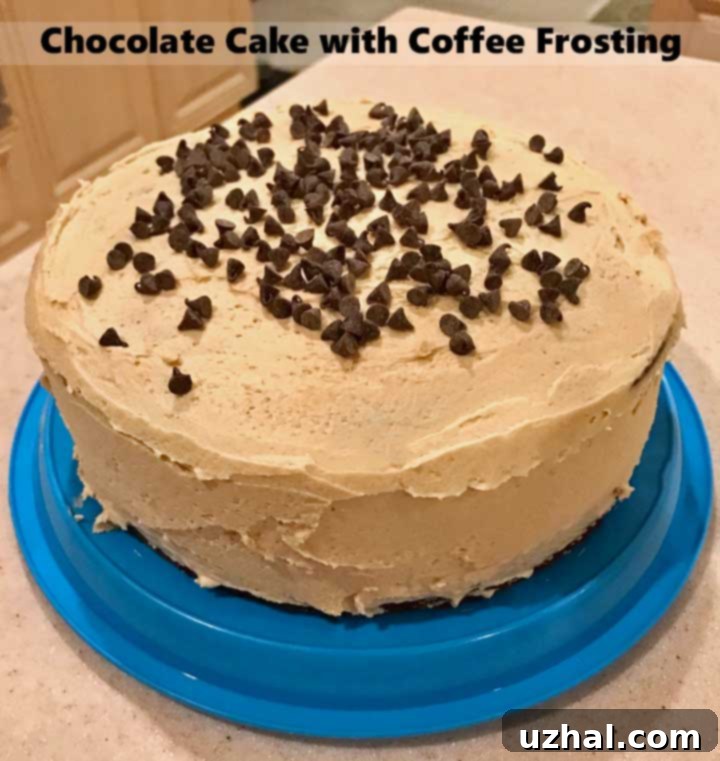 Palo Alto Chocolate Cake with luscious coffee frosting