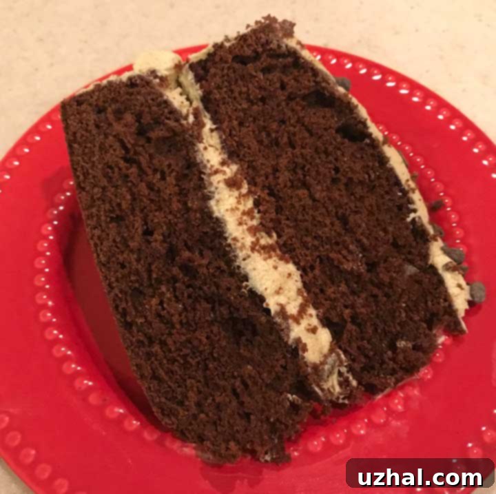 Layers of Palo Alto Chocolate Cake ready for frosting