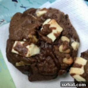 Double Chocolate Cookies