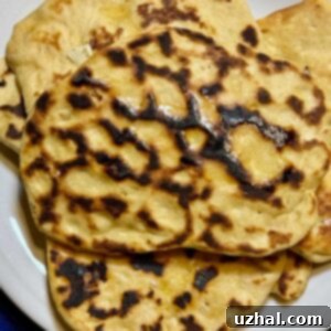 Sweet Potato Naan is just regular naan with mashed sweet potatoes in the dough.