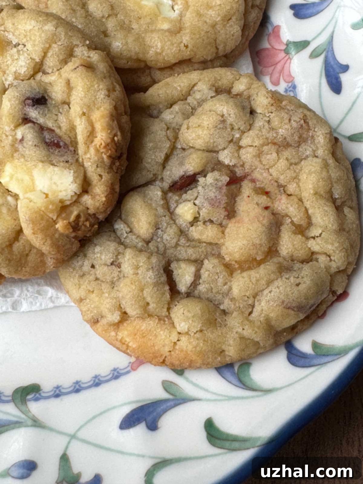 White Chocolate Cherry Almond Gems 2 Close-up of baked White Chocolate Cherry Almond Cookies showing texture and ingredients