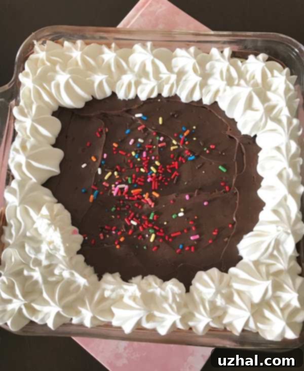 A slice of Chocolate Eclair Cake in an 8 inch pan, showing layers