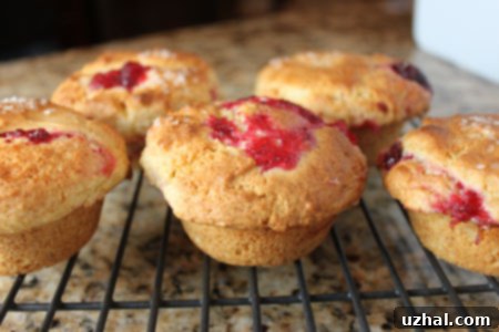 Orange Cranberry Swirl Muffins