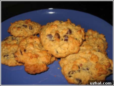 Close-up of baked Cheerio Cookies artfully arranged on a white plate, showcasing their textured surface.