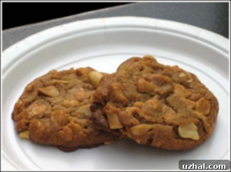 peanut butter butterscotch cookies