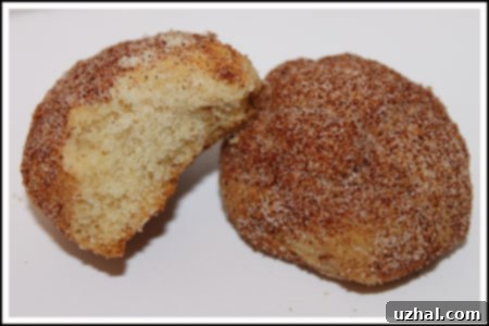 pandepolvo1