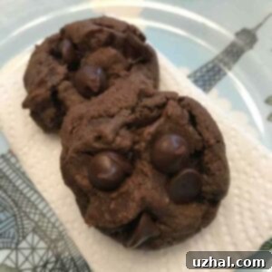 Sour Cream Chocolate Cookies