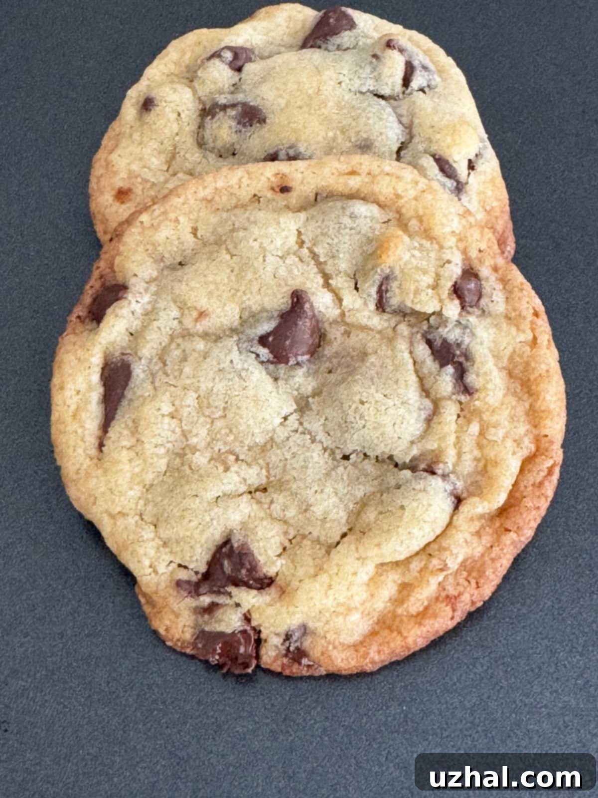 Milk Bar Life Chocolate Chip Cookies recipe with powdered milk also known as nonfat dry milk powder.
