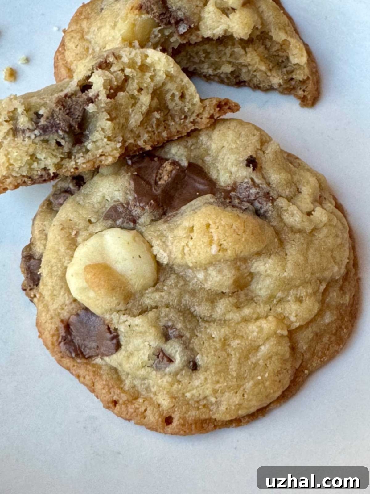 Milk Powder Chocolate Chunk Cookies with macadamia nuts and dry milk.