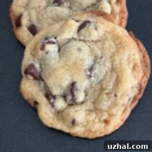 Milk Powder Chocolate Chip Cookies