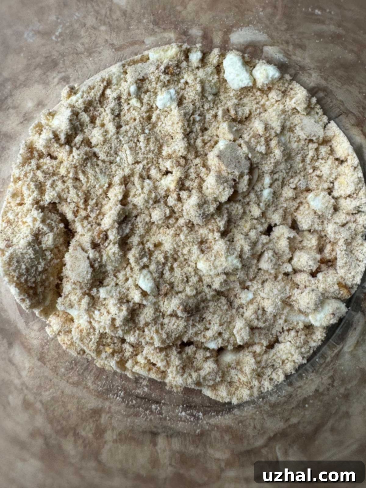 Close-up of toasted milk powder in a bowl, showing its light golden color and fine texture.
