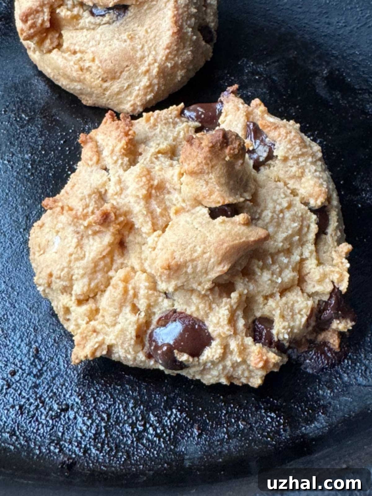 Birch Benders maple syrup scone with chocolate chips.