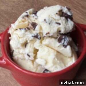 A bowl of homemade ricotta cheese ice cream with chocolate chunks recipe