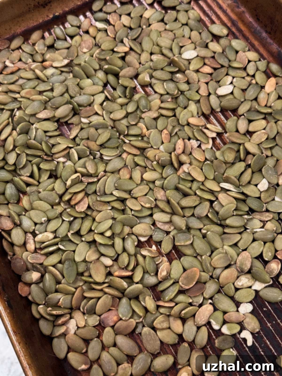 Toasted pumpkin seeds on a rimmed baking sheet.