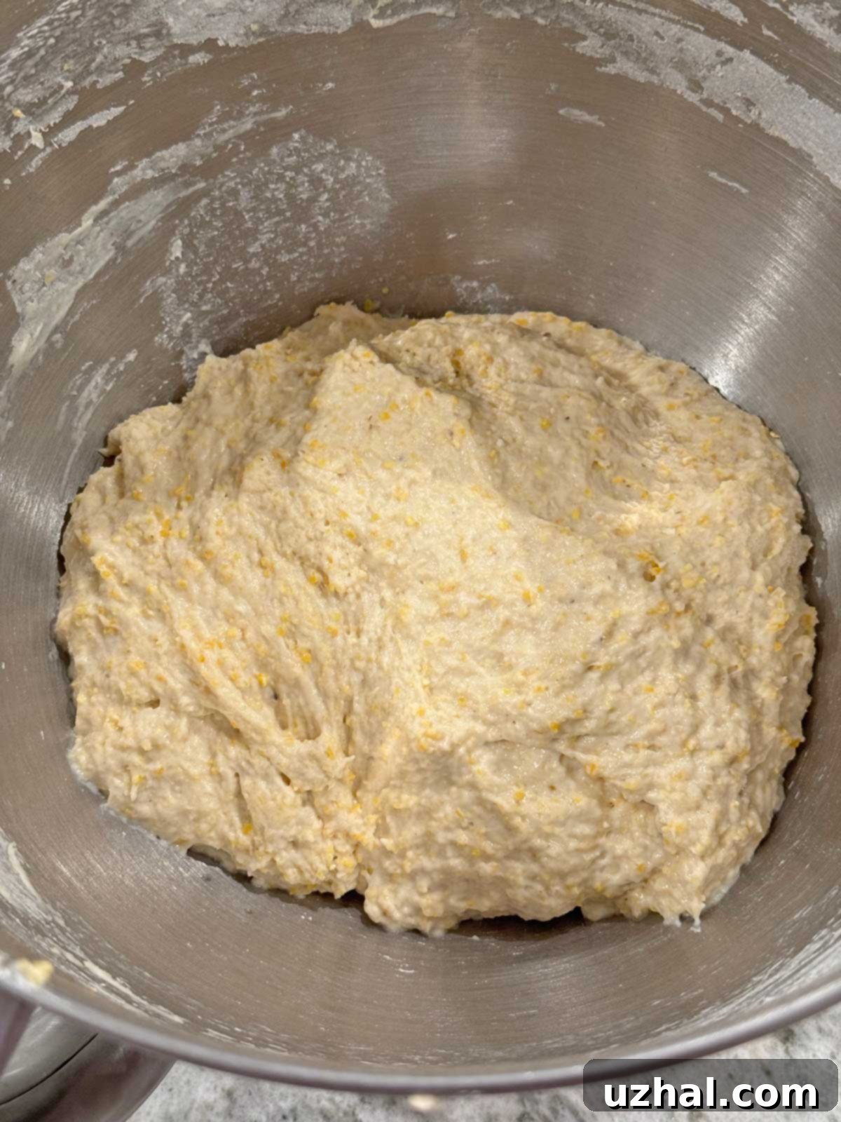 Dough texture of pumpkin seed bread