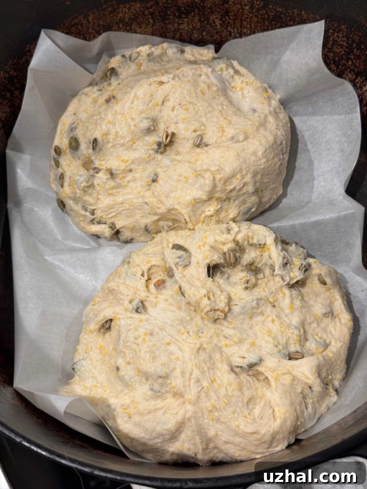 Two unbaked loaves in a Dutch oven on parchment paper.