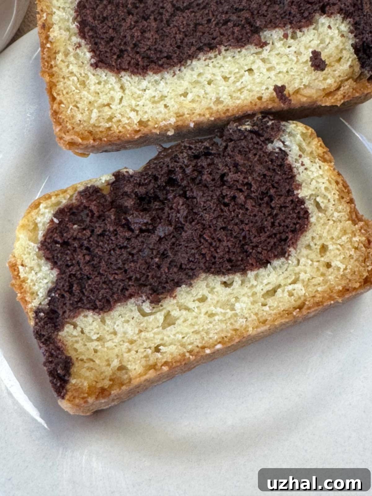 Sliced chocolate and vanilla egg-free cake made with tofu, showcasing a beautiful marble swirl.