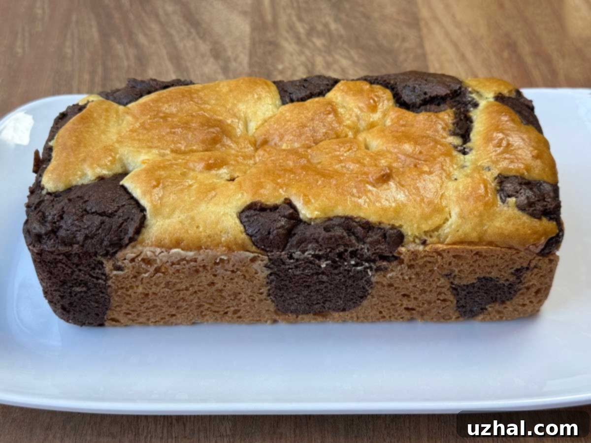 Chocolate and Vanilla Loaf Cake with a beautiful marble pattern, ready to be sliced.