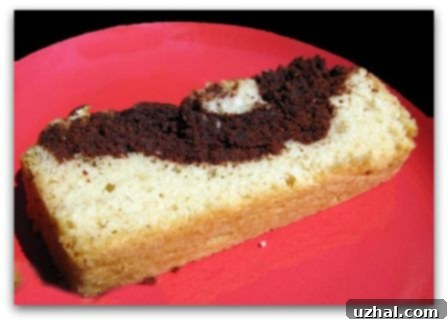 An older image of a Vegan Chocolate Marbled Pound Cake baked in a larger, less ideal pan.