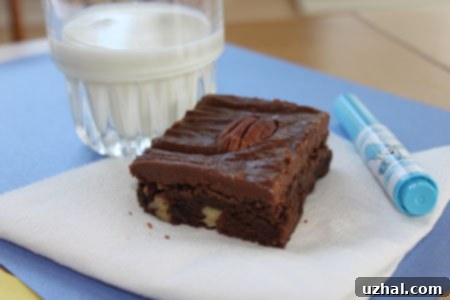 Rich Frosted Fudge Brownies