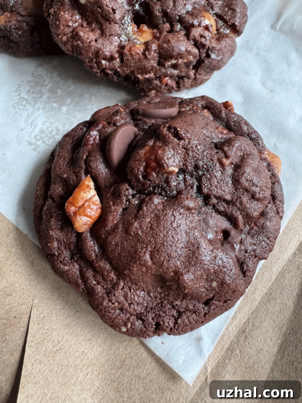 Texture of Jewel Gourmet Turtle Brownie Cookies copycat