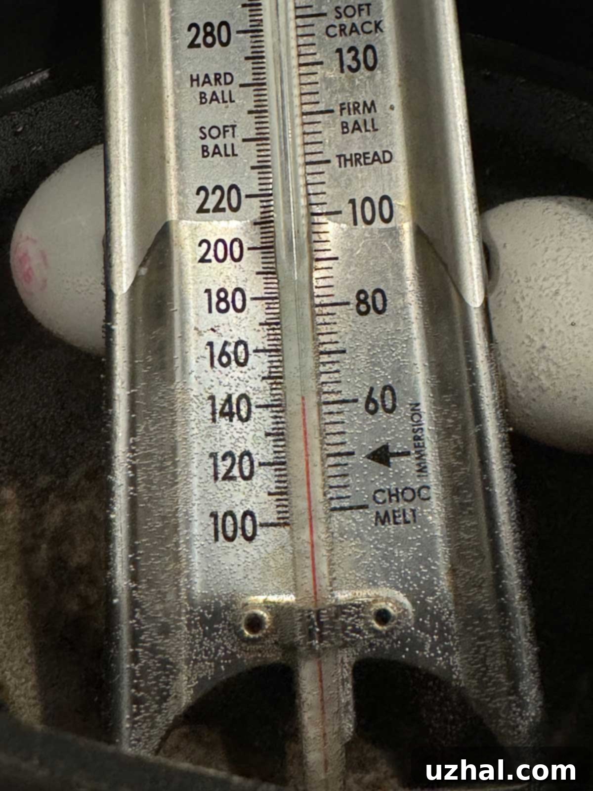 Ben and Jerrys Rich Dark Chocolate Ice Cream 3 How to pasteurize eggs at home.