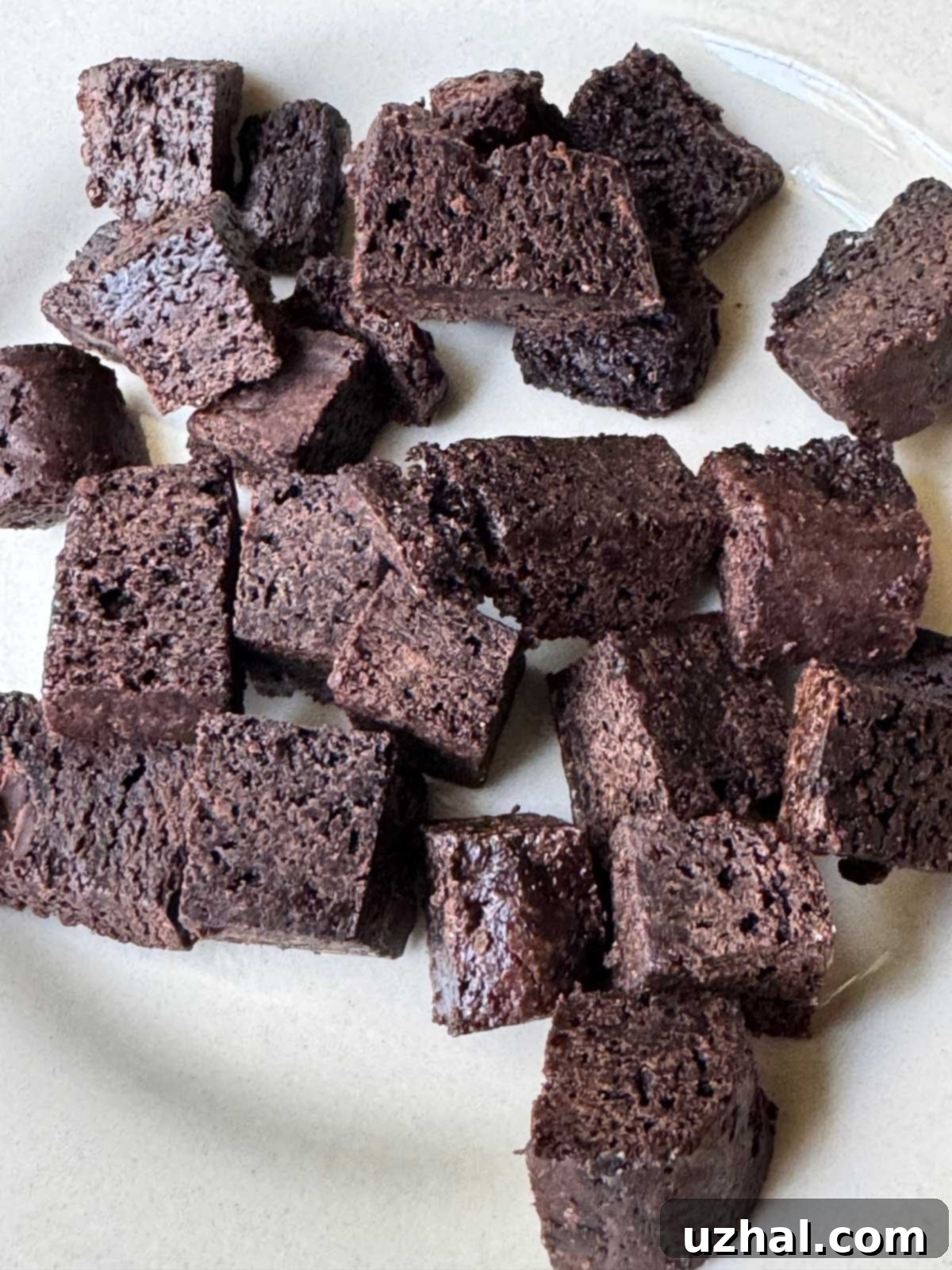 Ben and Jerrys Rich Dark Chocolate Ice Cream 4 Brownie chunks for ice cream