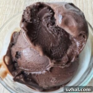 Ben and Jerrys Rich Dark Chocolate Ice Cream 5 Ben and Jerry's Dark Chocolate Ice Cream Copycat from old book.