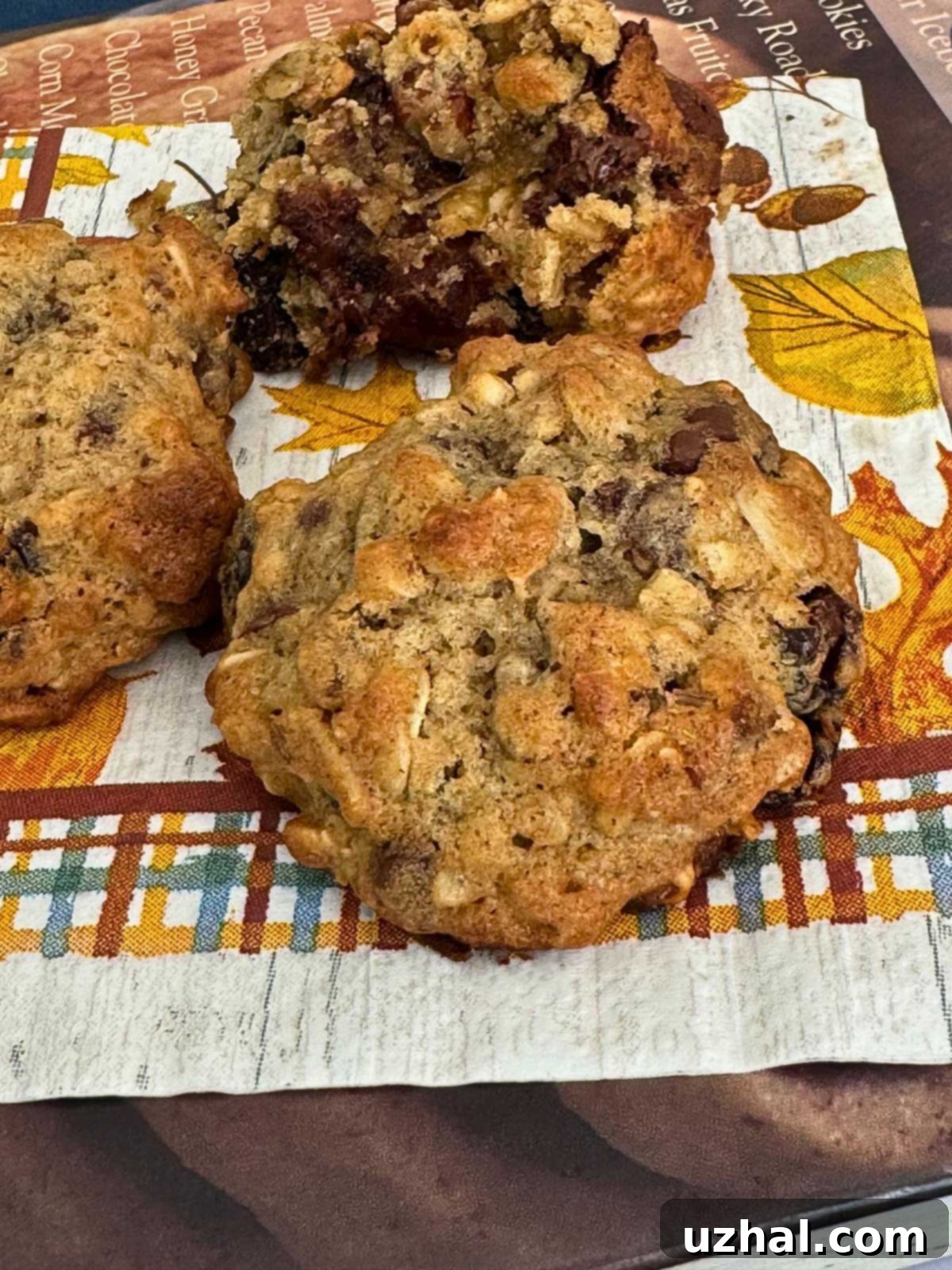Classic German Oatmeal Cookies 2 Maida Heatter's German Oatmeal Cookies, a recipe combining warm spices, dried fruit, and chocolate for a unique flavor.
