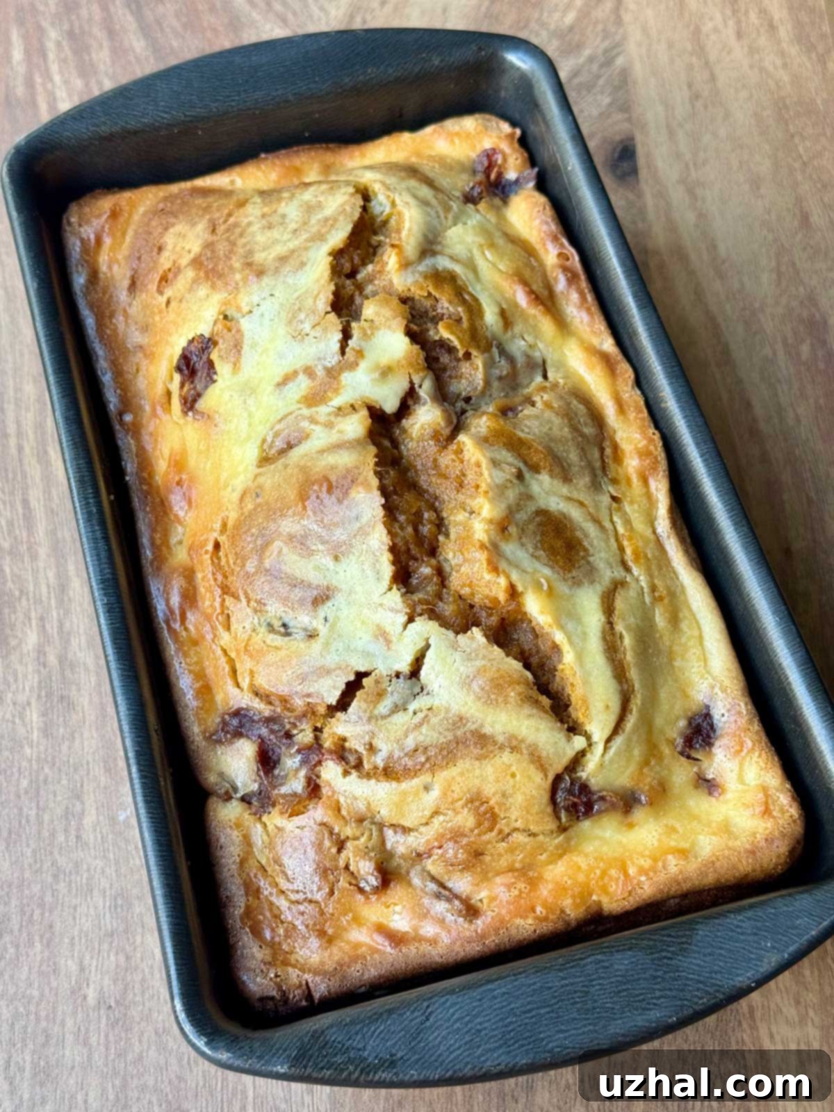 Spiced Pumpkin Date Cream Cheese Swirl Bread 2 Pumpkin Date Cream Cheese Swirl Bread recipe baked in a 9x5 inch loaf pan.