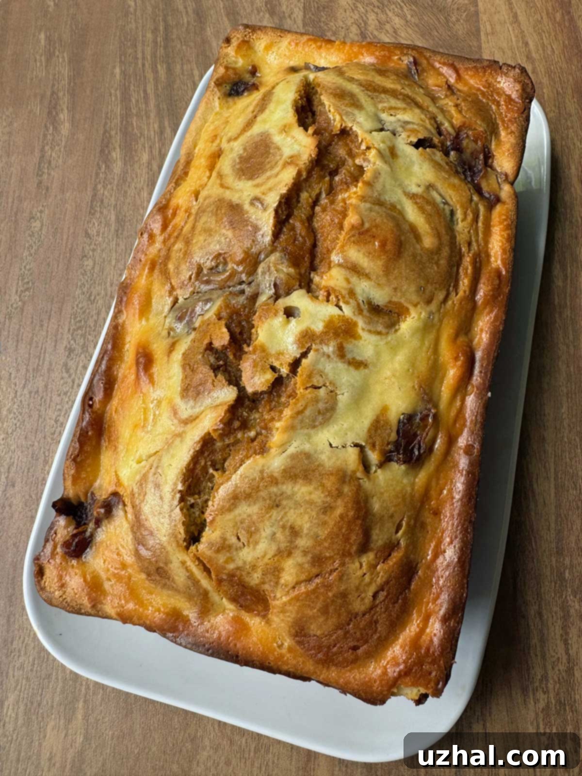 Spiced Pumpkin Date Cream Cheese Swirl Bread 5 Pumpkin Date Cream Cheese Swirl Bread recipe baked in a 9x5 inch loaf pan.