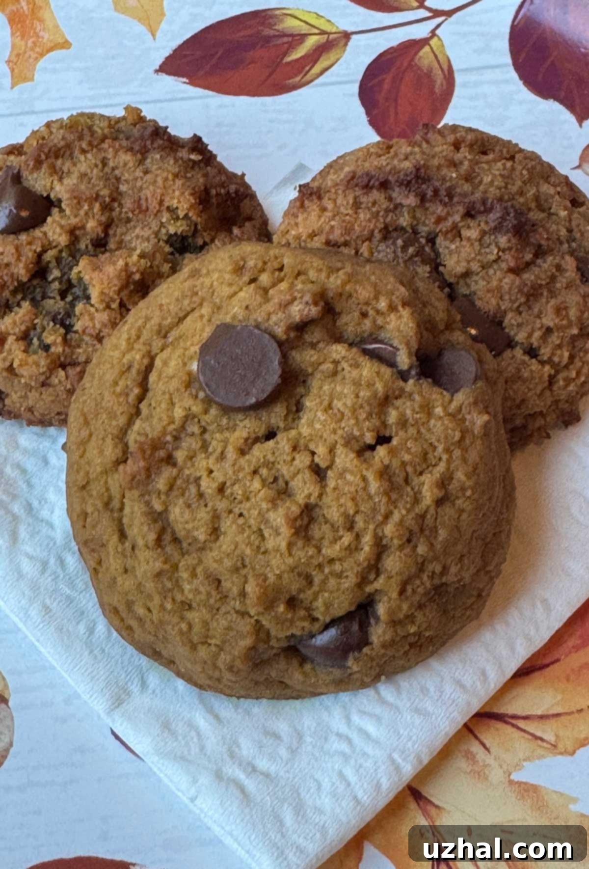 Healthier Pumpkin Chocolate Chip Delights 2 A recipe for almost sugar free pumpkin cookies with chocolate chips and allulose baking blend. Soft, cakey texture with visible chocolate chips.