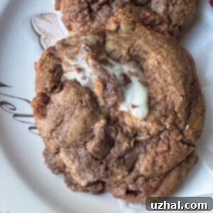 Espresso Marshmallow Cookies recipe card image