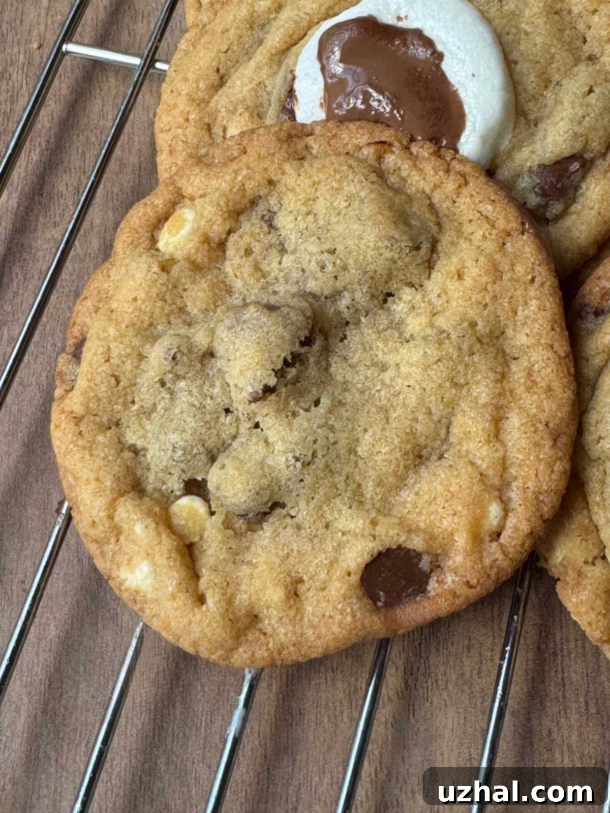 Espresso-Kissed Malted Cookies 2 Coffee Malt Cookies recipe showing cookies cooling on a rack with marshmallow and chocolate on top, highlighting their perfectly round shape and tempting toppings.