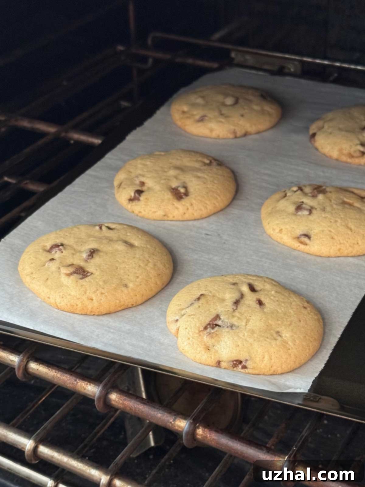 Espresso-Kissed Malted Cookies 3 The cookies spreading in a neat, round fashion at about the 10 minute mark, showing even bake and potential for perfect circular shape.