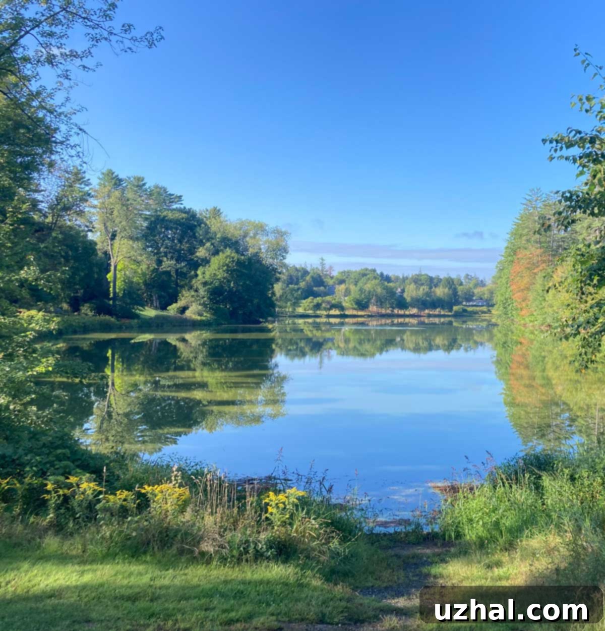 Golden Sweet Apple Pockets 5 A serene autumn landscape photo from Upper Valley, New Hampshire, with still water and trees just beginning to change color.