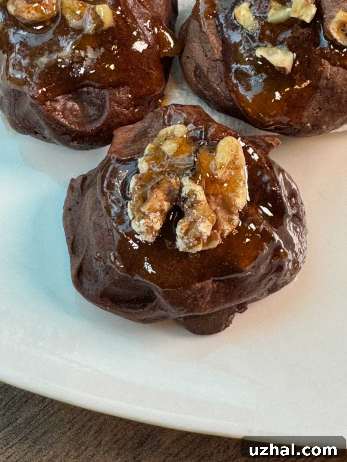 Fudgy Palmer House Brownie Delights 2 Rich, fudgy Palmer House Brownie Cookies with a delicate apricot glaze and crunchy walnuts, a modern twist on the classic Chicago brownie recipe.