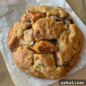 A giant Peanut Butter Chocolate Chunk Pretzel cookie made with an easy recipe that makes cookies perfect for giving as gifts.