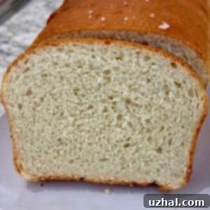 Mashed Potato Magic: Bread Reinvented 5 leftover mashed potatoes bread recipe