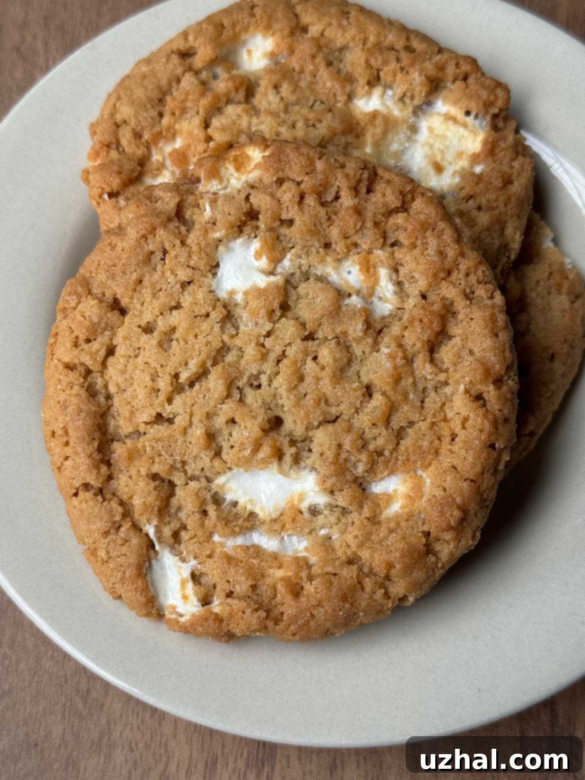 Costco Marshmallow Krispies Cookies