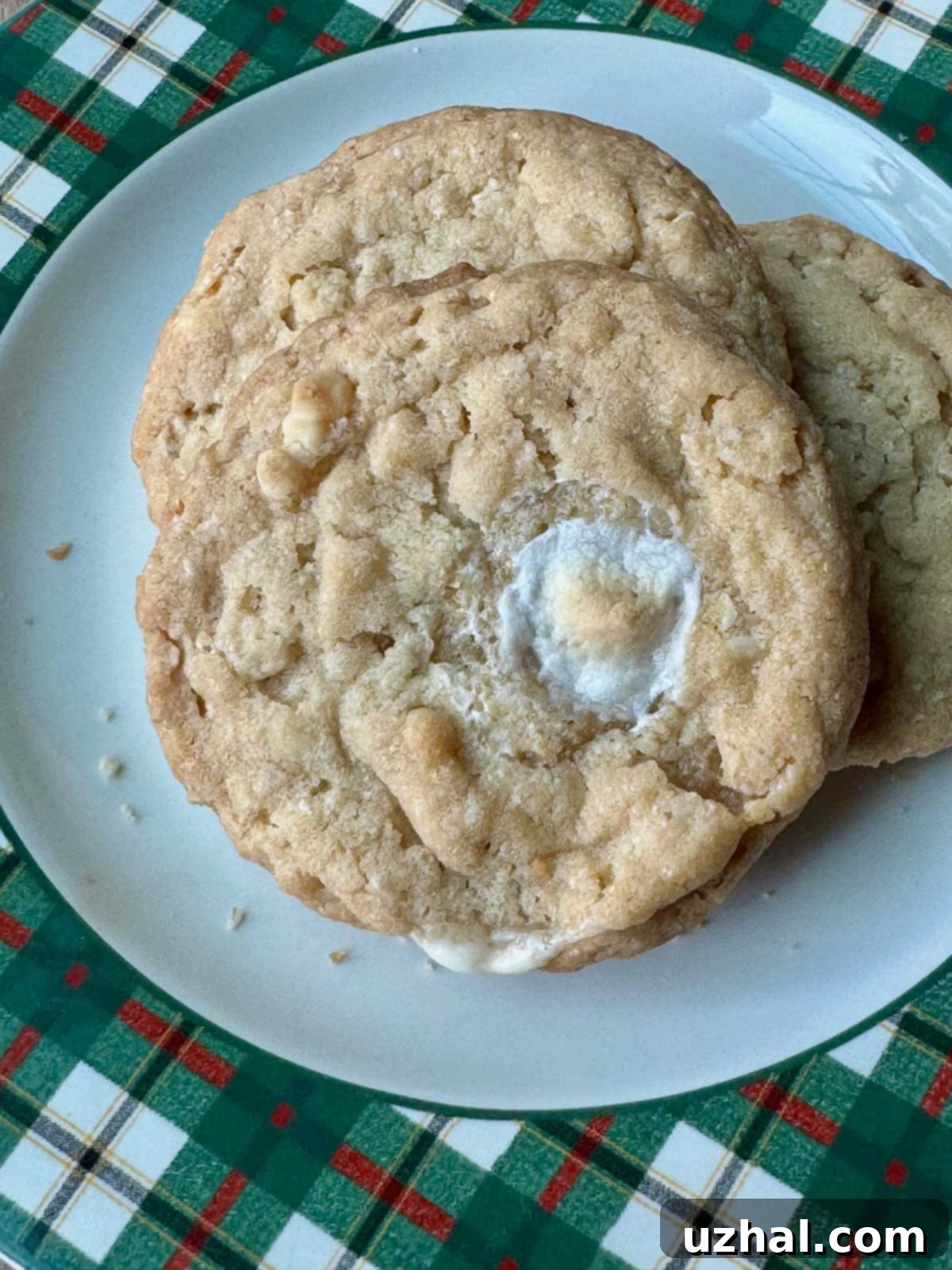 Rice Krispies Treats Cookies recipe similar to Costco.