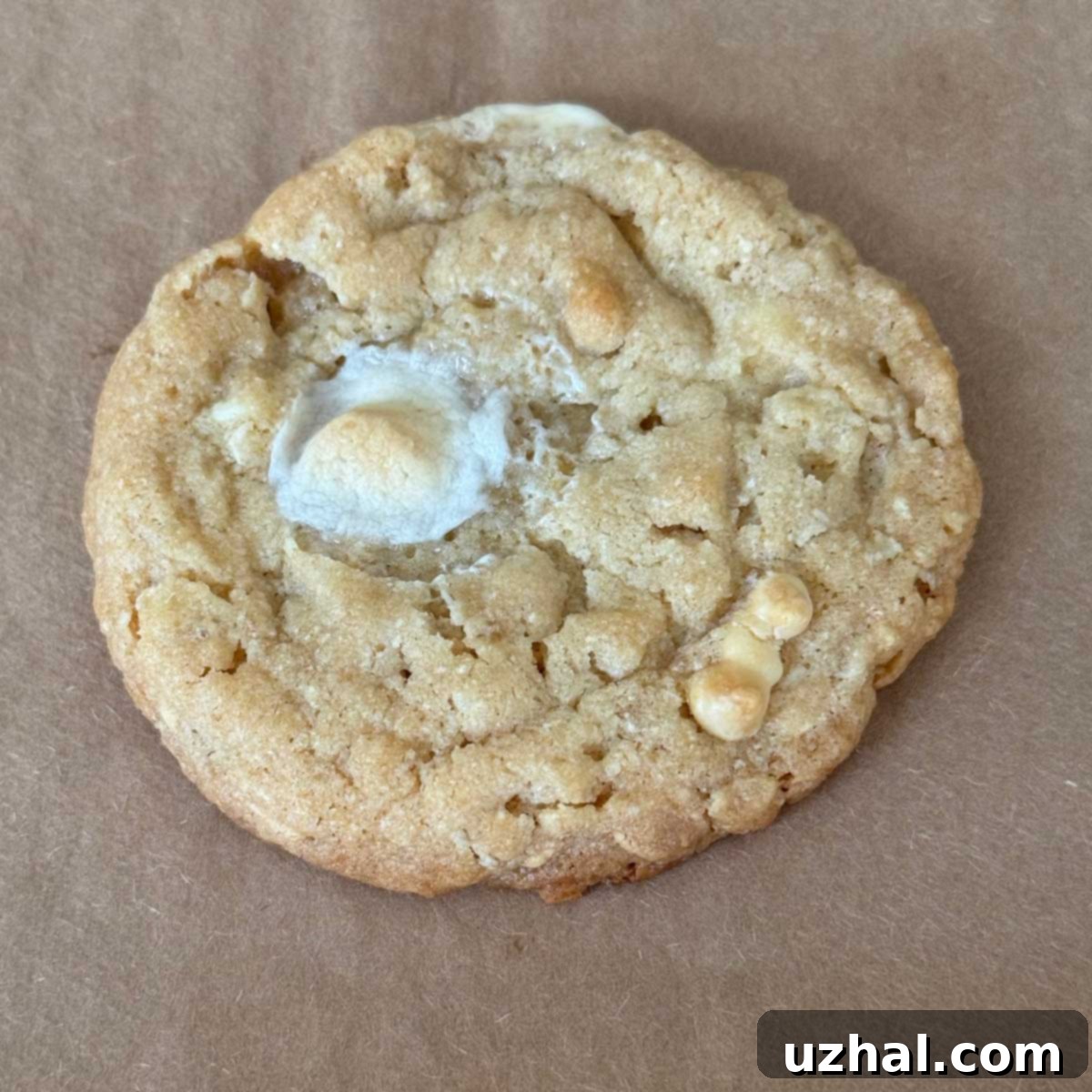 Rice Krispies Treats Cookies recipe similar to Costco.